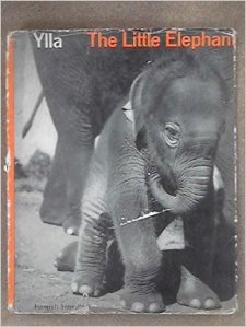 51wiPbAU-gL._SY344_BO1,204,203,200_