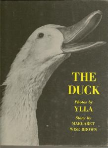 cd071ccf01530a024bce2608bcb599c5